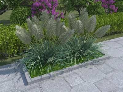 植物3D模型下载